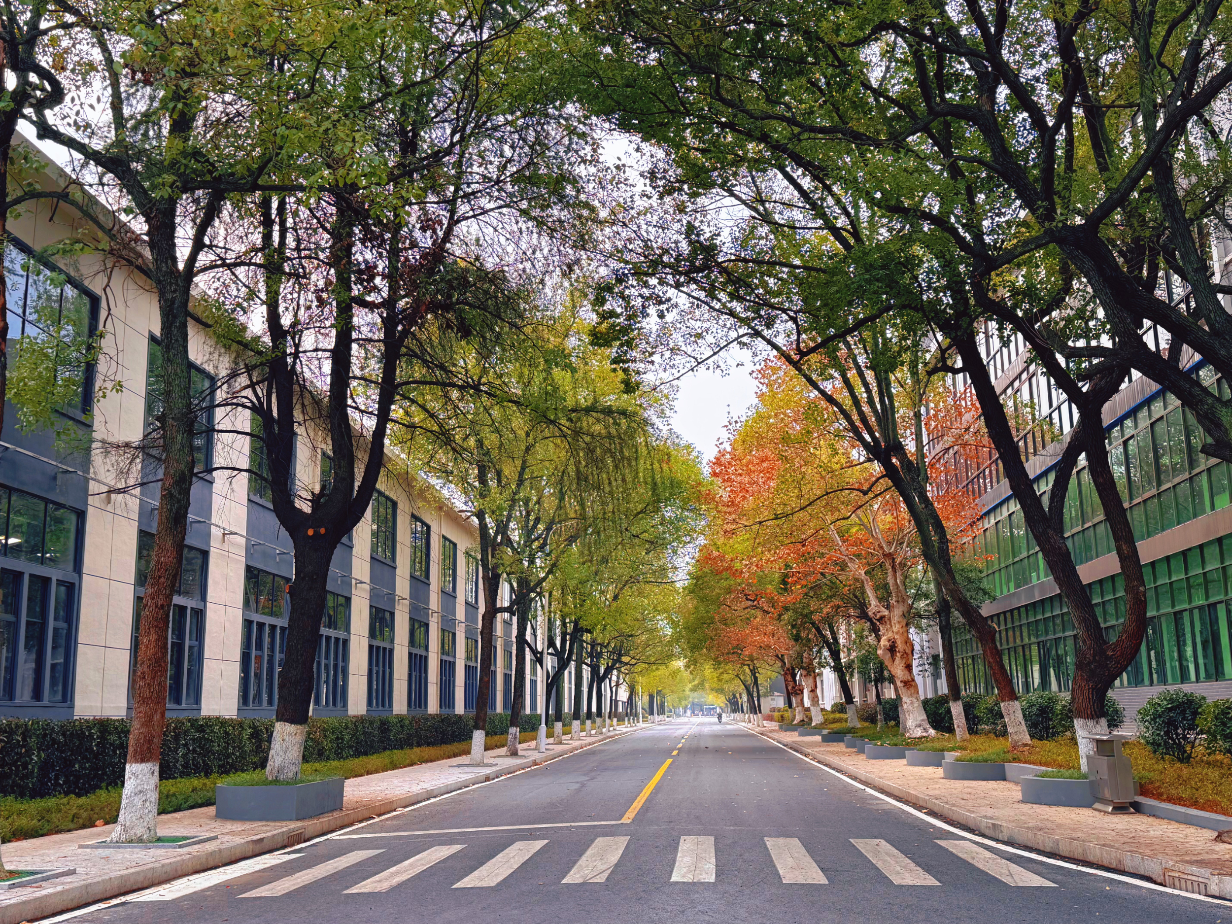 《中國環(huán)境網(wǎng)》衡鋼獲評國家級綠色工廠