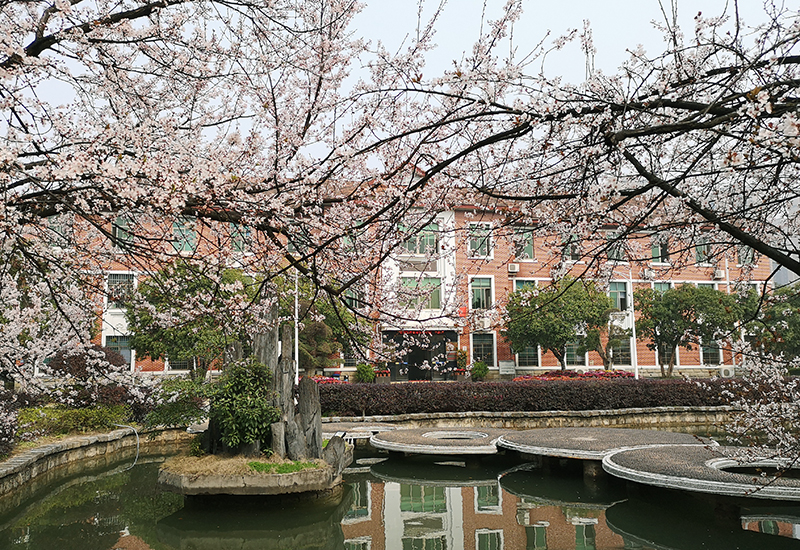 1589243460516375.jpg 000.jpg